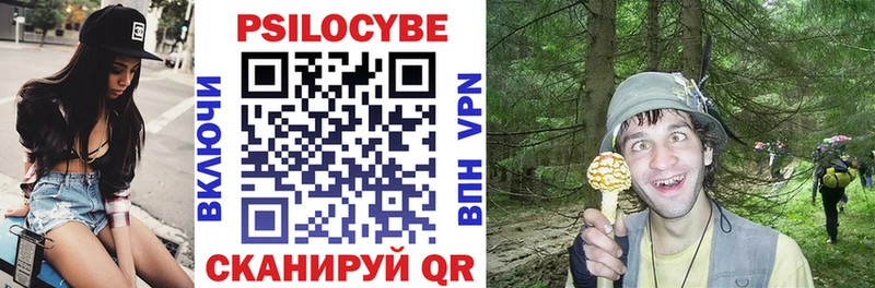 Купить где  Купино  Галлюциногенные грибы Cubensis 